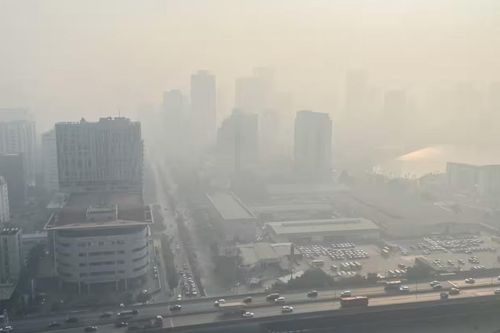WHO: Bệnh phổi đe dọa tăng trưởng kinh tế Đông Nam Á