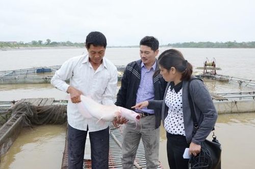 Bắc Ninh: Thủy sản giữ vững đà tăng trưởng