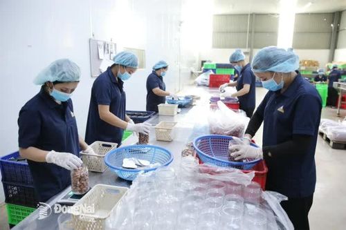 Đẩy mạnh sản xuất, kinh doanh dịp cuối năm