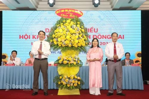 Bà Lê Thị Mỹ Phượng giữ chức Chủ tịch Hội Khuyến học tỉnh Đồng Nai