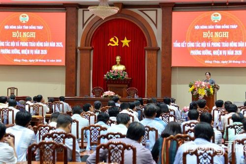 Hiệu quả công tác Hội và phong trào nông dân năm 2025
