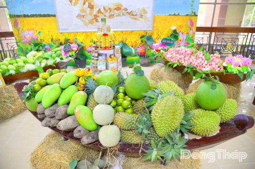 Trưng bày sản phẩm đặc trưng chào mừng Đại hội đại biểu Hội Nông dân tỉnh Đồng Tháp lần thứ I