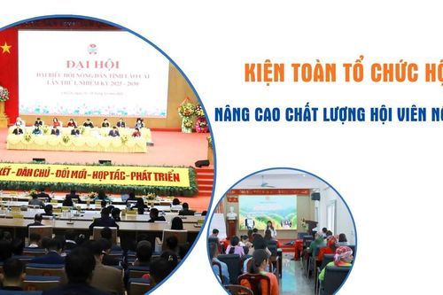 Kiện toàn tổ chức hội, nâng cao chất lượng hội viên nông dân