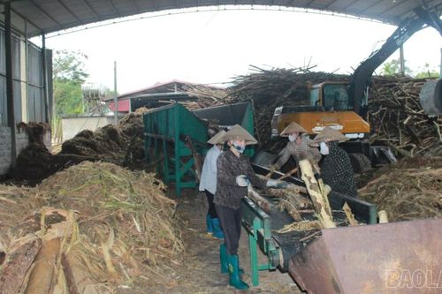 Phúc Lợi trên hành trình trở thành xã phát triển lâm nghiệp của tỉnh