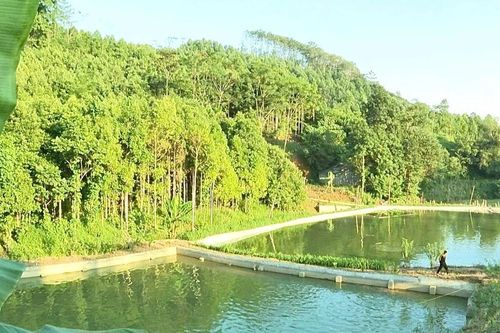 Thoát nghèo từ những mô hình kinh tế hiệu quả