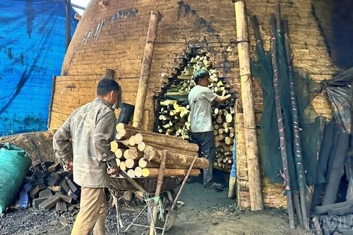 Hiệu quả từ mô hình đốt than quế của nông dân Bảo Hà