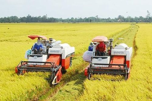 Nông dân tăng thu nhờ sản xuất nông sản 'sạch'
