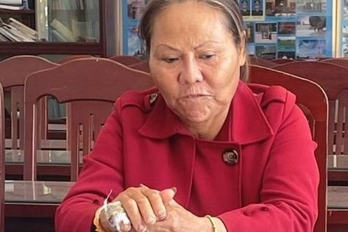 Thay tên đổi họ, phẫu thuật thẩm mỹ khuôn mặt, đối tượng trốn truy nã vẫn bị bắt
