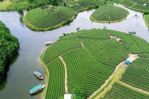Dự án nghìn tỷ Đảo chè - Cầu Cau 'treo' đến bao giờ?