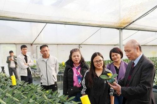 Trồng hoa thúc đẩy phát triển nông nghiệp đô thị ở xã Đan Phượng