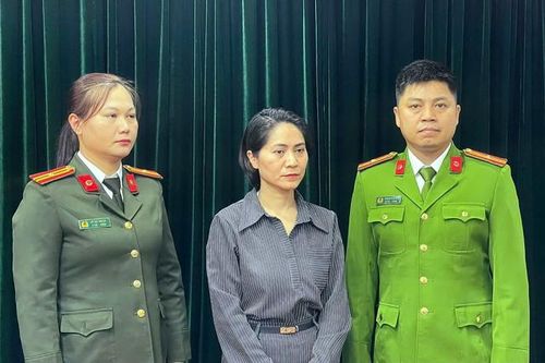 Khởi tố giám đốc công ty tổ chức show diễn 'Về đây bốn cánh chim trời'