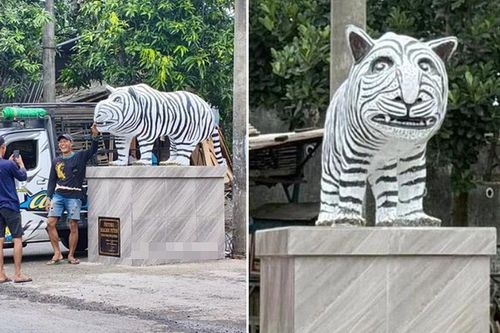 Tượng hổ trắng ở Indonesia gây chú ý vì ngoại hình độc lạ: Ngựa vằn lai hà mã?