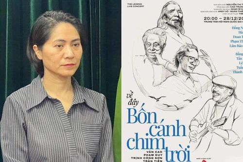 Giám đốc công ty tổ chức show ca nhạc bị hủy sát giờ diễn sẽ đối diện với mức án nào?