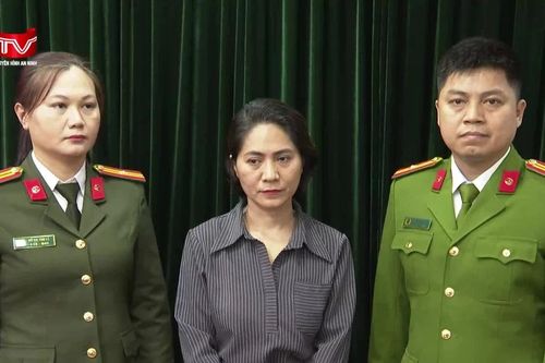Toàn cảnh vụ 'tự hủy' show ca nhạc 'Về đây bốn cánh chim trời' để chiếm đoạt tài sản