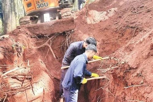 Nỗ lực bền bỉ đưa các liệt sĩ trở về