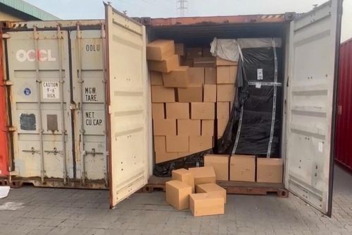 Bắt tạm giam Giám đốc Công ty TNHH Profit buôn lậu thực phẩm chức năng quy mô lớn