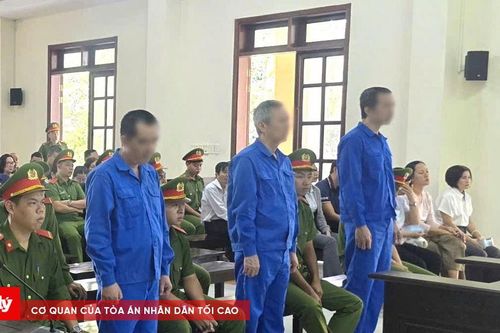 Lĩnh án tù vì gây thất thoát ngân sách Nhà nước
