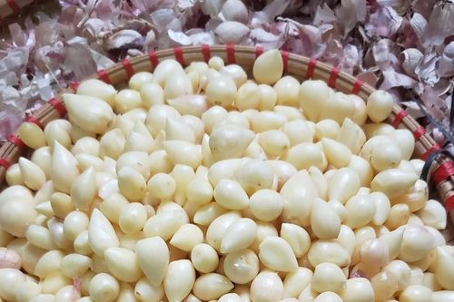 Đặc sản dưới lòng đất được ví như 'lộc trời' ở Sơn La, giá đắt đỏ vẫn hút khách
