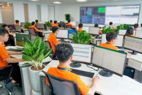 Chuyển đổi số song hành chuyển đổi xanh: Kinh nghiệm quốc tế, Con đường Việt Nam