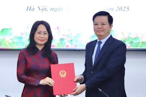 Bà Lâm Thị Phương Thanh giữ chức Thứ trưởng thường trực Bộ VHTT-DL