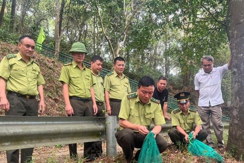 Nghệ An tiêu hủy hơn 59 nghìn mét lưới bẫy, thả 460 cá thể chim hoang dã về môi trường tự nhiên