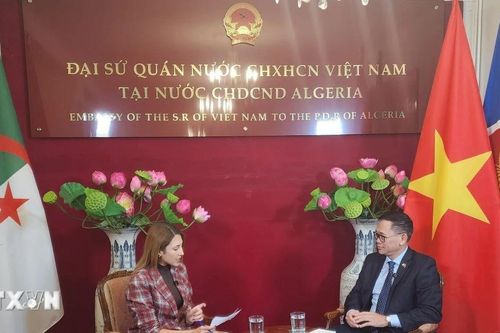 Quan hệ Việt Nam-Algeria còn rất nhiều dư địa để phát triển