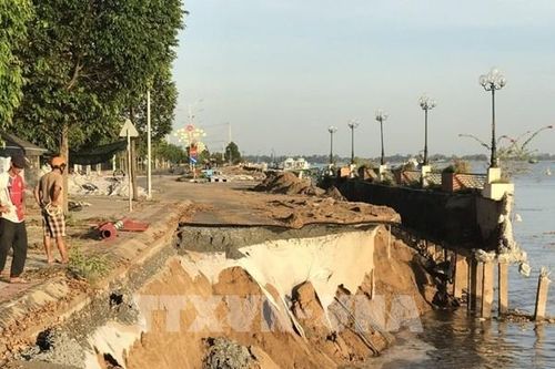 Đồng Tháp khẩn trương khắc phục sạt lở Kè Thường Thới Tiền