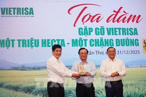71.000 tấn gạo được cấp chứng nhận 'Gạo Việt xanh phát thải thấp'