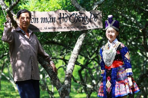 Mận Tam hoa thay thế cây thuốc phiện ở 'cổng trời' Mường Lống