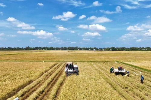 Đảng bộ xã Định Hòa thực hiện đạt và vượt 100% chỉ tiêu nghị quyết năm 2025
