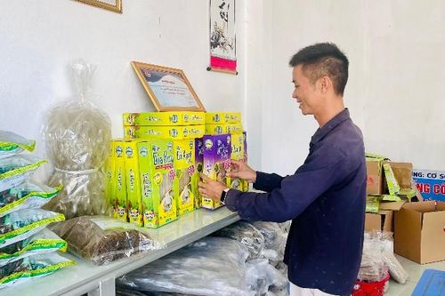 Hướng tới nền nông nghiệp hàng hóa, kinh tế xanh bền vững