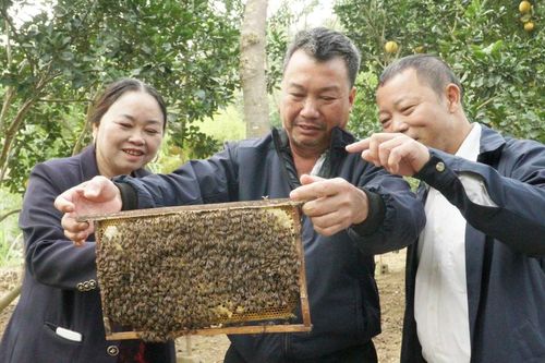 Lâm Giang đổi mới tư duy, phát huy nội lực trong phát triển kinh tế