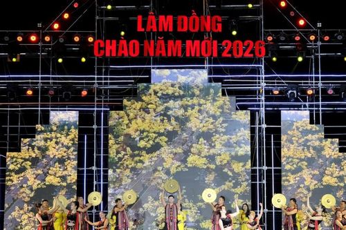 Lâm Đồng rực rỡ chào năm mới 2026