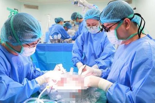 Ngày cuối năm, thành công ghép gan từ người hiến chết não