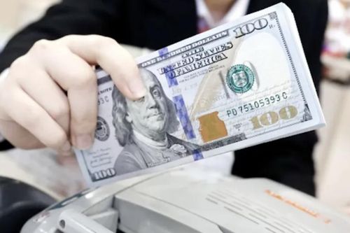 Tỷ giá có một năm 2025 'vượt sóng' và kỳ vọng ổn định trong năm 2026