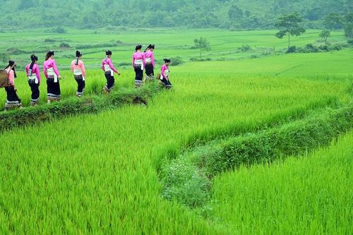 Du Lịch Thanh Hóa tự tin bước vào năm 2026