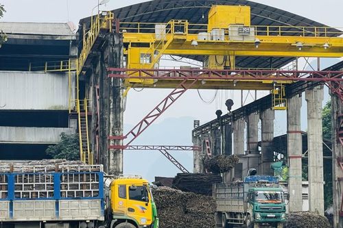 Công ty cổ phần Mía đường Cao Bằng doanh thu ước đạt trên 110 tỷ đồng