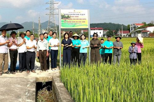 Nông dân xã Sóc Sơn sản xuất nông nghiệp xanh, sạch