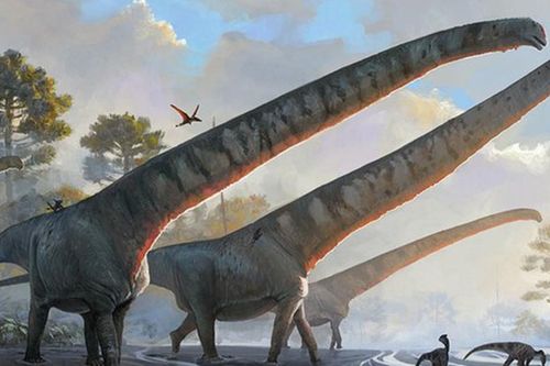 Quái vật Trùng Khánh 'trỗi dậy' từ đá đỏ tía, nặng hàng chục tấn