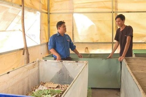 Thanh niên ở Lâm Đồng 'đổi hướng' làm kinh tế nông thôn với nghề 'độc, lạ'