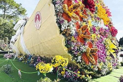 Hoa trên thành phố ngàn hoa
