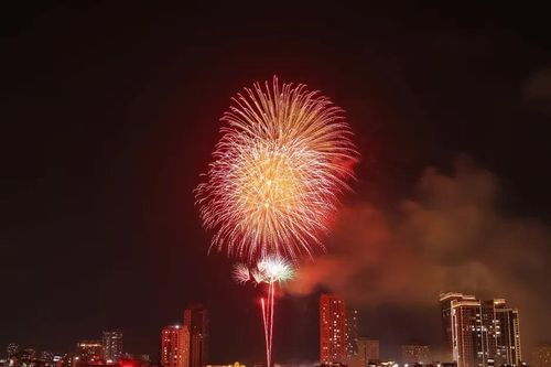 Mãn nhãn màn pháo hoa chào đón năm mới 2026 tại Hà Nội