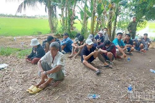 Đồng Tháp: Bắt quả tang 24 đối tượng đá gà ăn thua bằng tiền