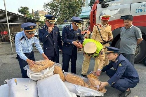 Tiêu hủy hơn 300 kg ruốc bông bị mốc, có mùi lạ ở Hà Tĩnh