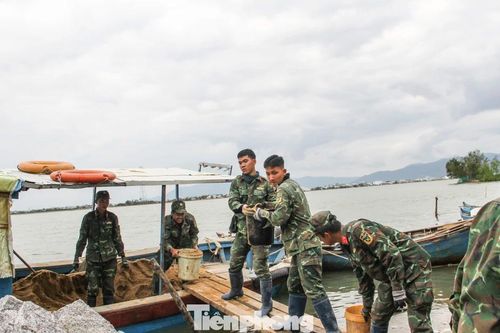 Bộ đội xuyên tết dựng lại mái ấm cho người dân