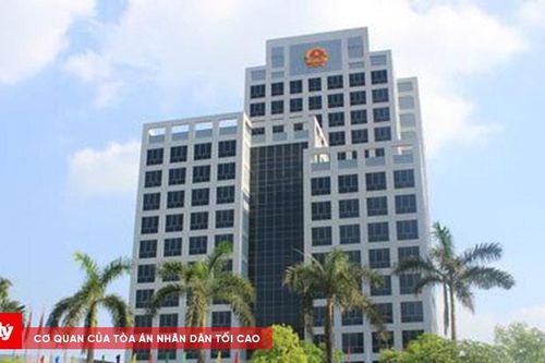85 thủ tục hành chính được giải quyết trên hệ thống mới