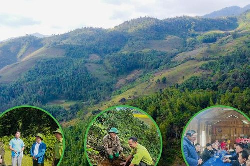 Dân vận 'xanh' ở Pù Hoạt