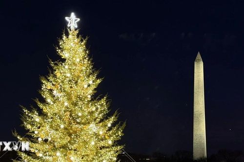 Cây thông Noel Quốc gia Mỹ rực rỡ chào đón Năm mới 2026