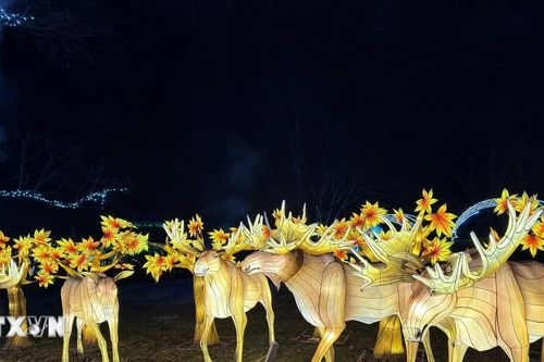 Mỹ: Lễ hội ánh sáng chào năm mới ở Vườn thú Quốc gia Smithsonian