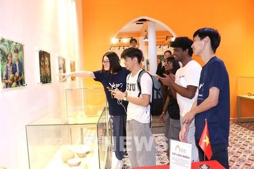 Vùng dừa sáp trăm tỷ và giấc mơ nông thôn mới Tam Ngãi